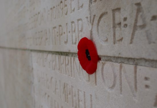 Poppy on wall at Vimy